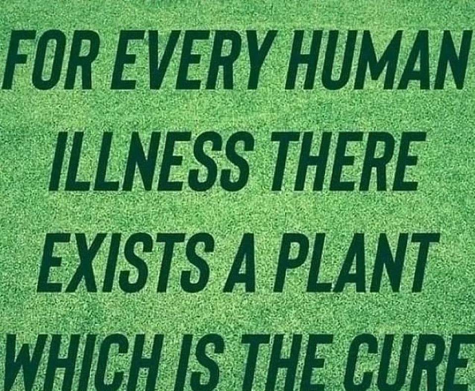 WELCOME TO DR OAIKHENA HERBAL MEDICINE OF ALL POSSIBILITIES